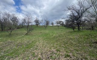 TEREN INTRAVILAN 4365 MP POENARII DE MUȘCEL  JUDEȚUL ARGES - Poză 3