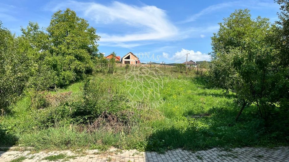 Apartament 4 camere-curte-parcare-balcon-Zona Valea Budacului - Poză 7