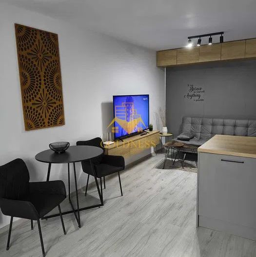 2 Camere Premium, Ego Residence, Corneliu Coposu, Parcare, Lombului - Poză 7