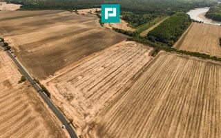 Teren 46.000 mp la drumul Pecica-Semlac - Poză 2