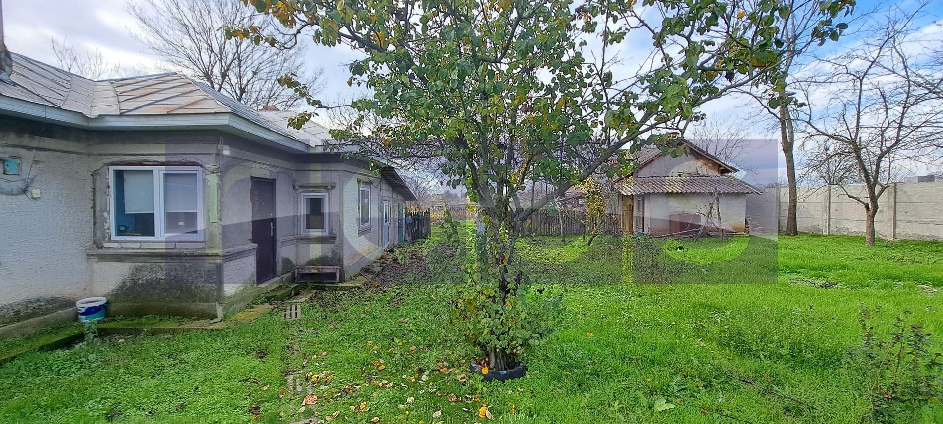 VANZARE CASA + TEREN 2000 MP | SAT MERI, COM. VEDEA | RENOVATA UTILITATI, ANEXE - Poză 1