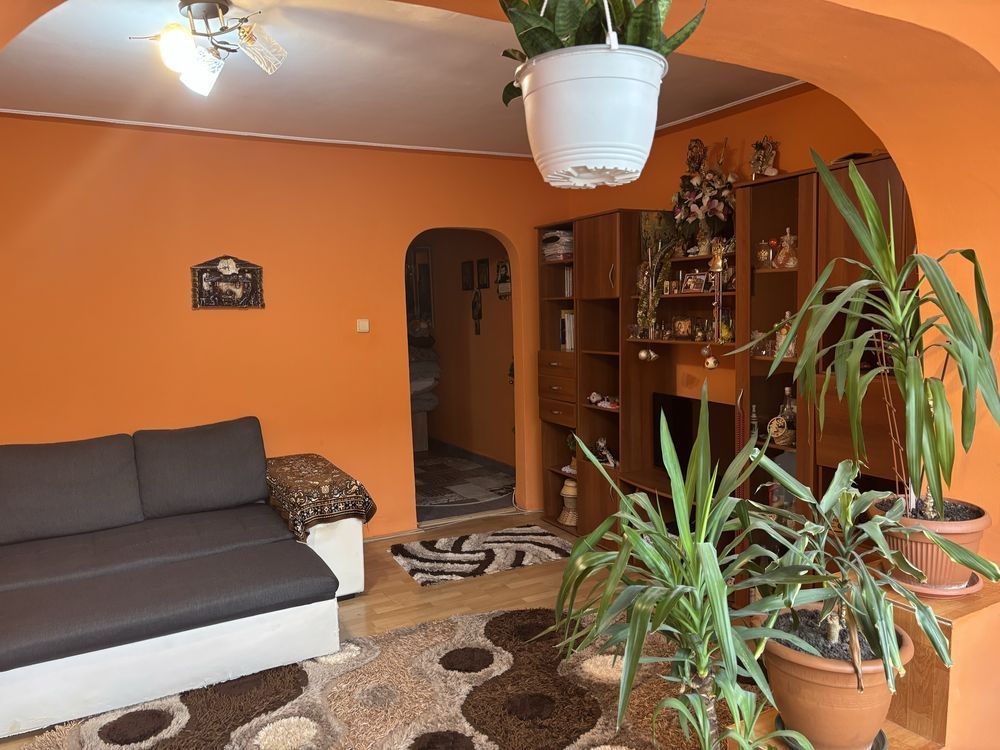 Apartament 1 Camera Calea Buziasului - Poză 1