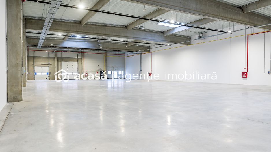 4646 mp - Hala industriala de inchiriat in Parc Industrial Arad - Poză 5