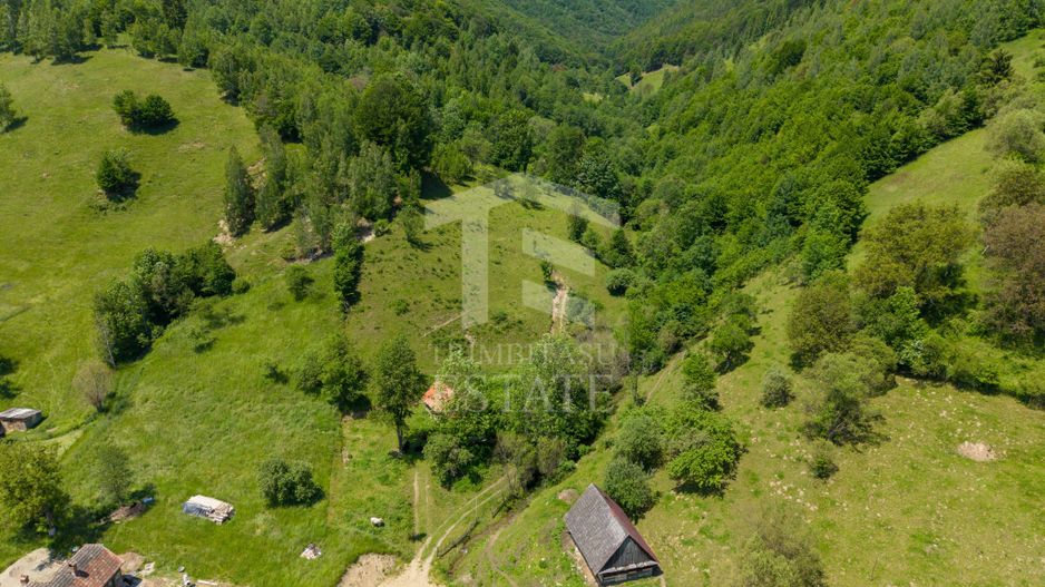 Moieciu de Jos |Teren 11.381 mp | Panoramă, potențial turistic - Poză 12