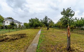 Casă cu teren de 1440 mp, Aradul Nou - Poză 5