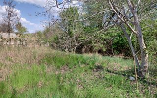 Teren intravilan 3.250 mp în Filești – Ideal pentru casă sau investiție! - Poză 15