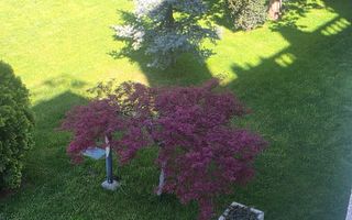 3 camere | Terasa vedere la piscina | Pipera | Școala Americanǎ - Poză 17