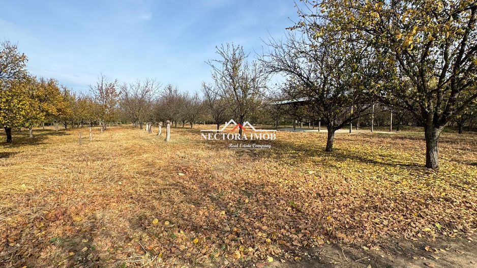NECTORA IMOB-Teren cu livada matura+Anexa racordata la trifazic,9162mp - Poză 6