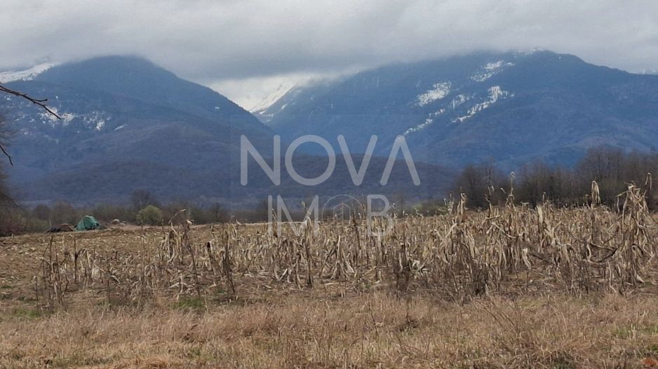 Teren extravilan de vanzare - Arpasul de Sus - Poză 3