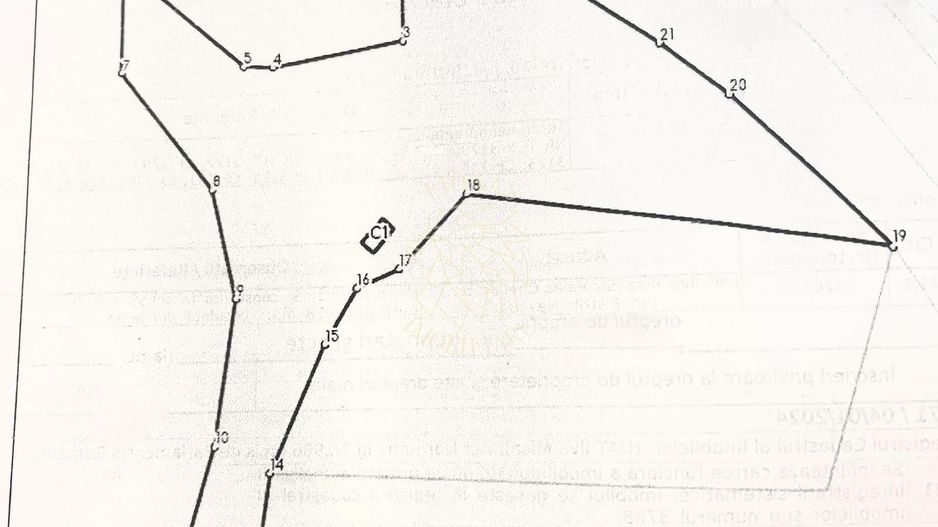 Teren 17898 mp + casa 58 mp-ideal fonduri europeane-Ilva Mica - Poză 2