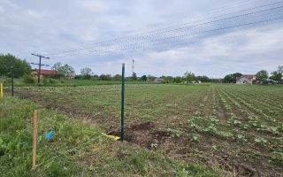 Teren intravilan 1.000 mp | Moara Vlăsiei | Strada Berzei - Poză 2