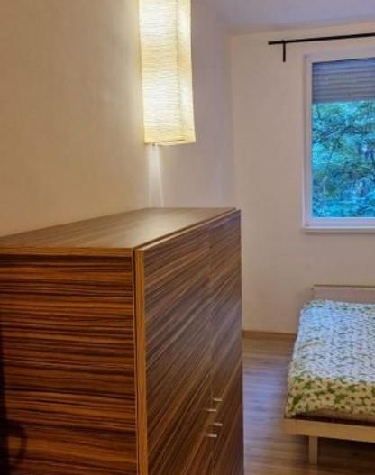 Apartament 2 camere Dristor – etaj 1, Anvelopat, 10 min Metrou - Poză 8