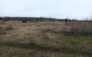 Oportunitate Excelenta în Anenii Noi, lot de constructie-7 Ari - Poză 5