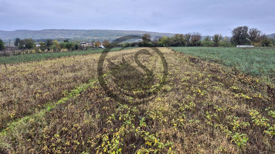 Teren intravilan de vanzare | 3.084mp | Plavia - Urlati | Comision 0% - Poză 2
