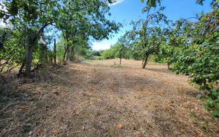 De vanzare teren intravilan 728mp, Oarda de Sus - Poză 1