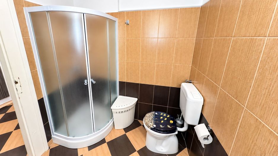 De vânzare/ închiriat Apartament istoric, 2 camere, Central Arad - Poză 18