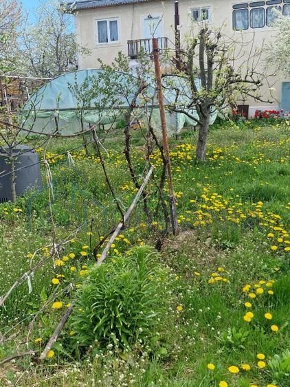 Vanzare casa P+1, anexe, curte, sat Verseni, comuna Miroslovesti, la asfalt - Poză 6