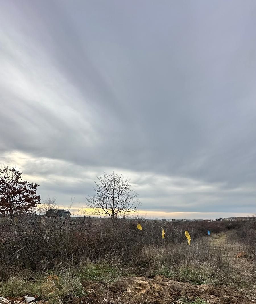 Mogosoaia, teren 792 mp, vedere la lac, utilitati, STB la 750 m (R470) - Poză 3