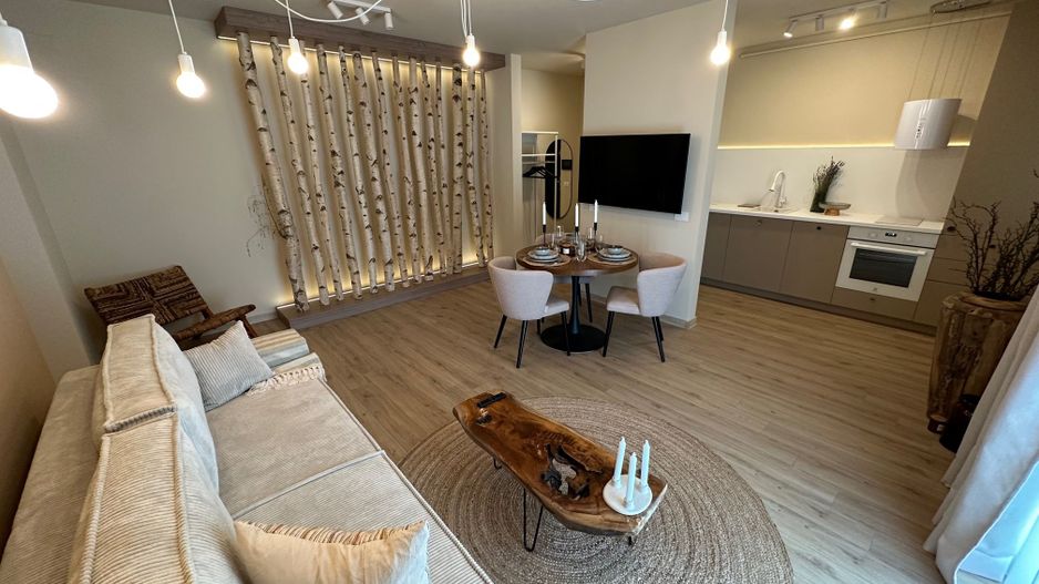 Apartament deosebit  2 camere zona Lipovei - Poză 1