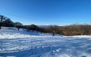 TEREN INTRAVILAN 8522 MP, CAMPULUNG - Poză 4