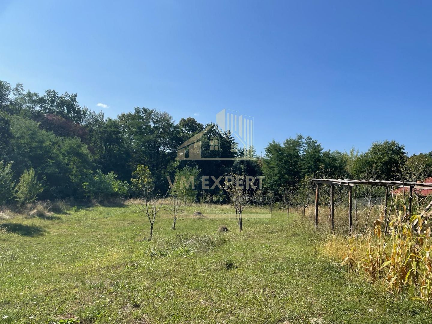 TEREN INTRAVILAN 1800 MP MIHAESTI ARGES COMISION 0 - Poză 4