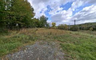 Teren intravilan cu Puz si priveliște deosebită, spre Cetatea Cisnădioara - Poză 12