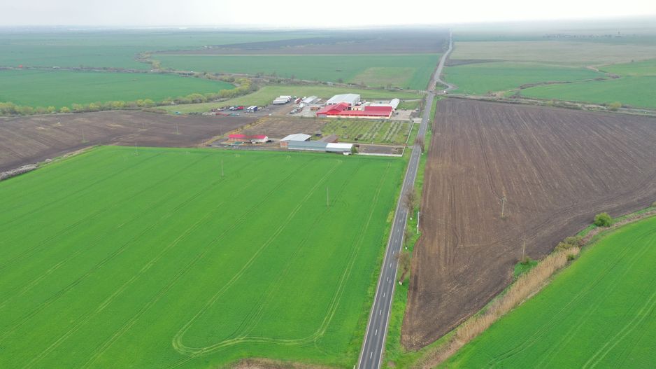 Teren industrial Dudestii Noi - Poză 5