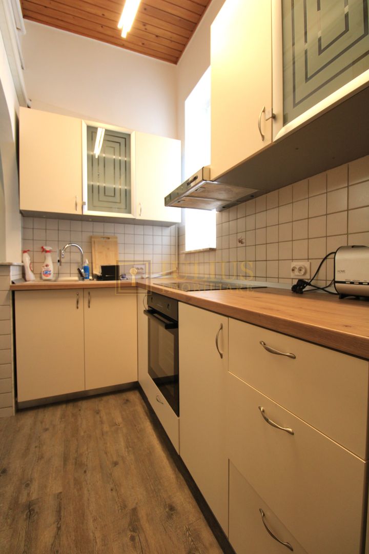 Take Ionescu, 3 camere, centrala proprie. - Poză 9