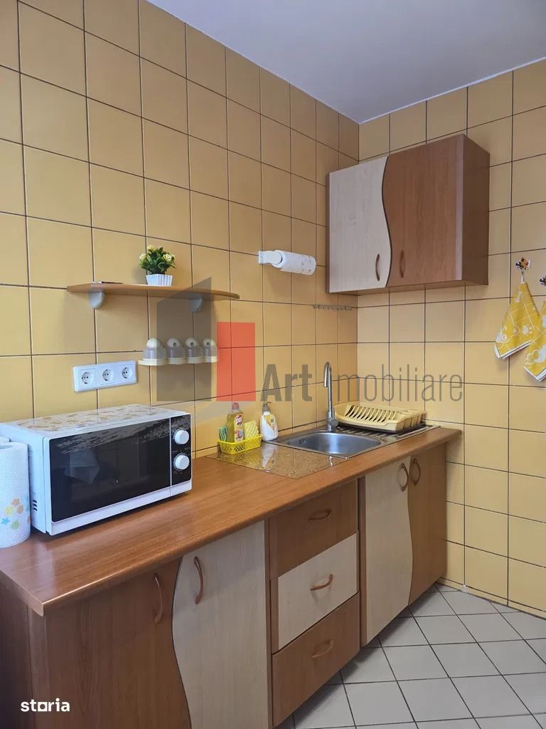 Inchiriere 2 Camere Dristor - Poză 7