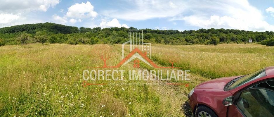 Va oferim spre vanzare teren zona valea budacului cartier raal - Poză 1