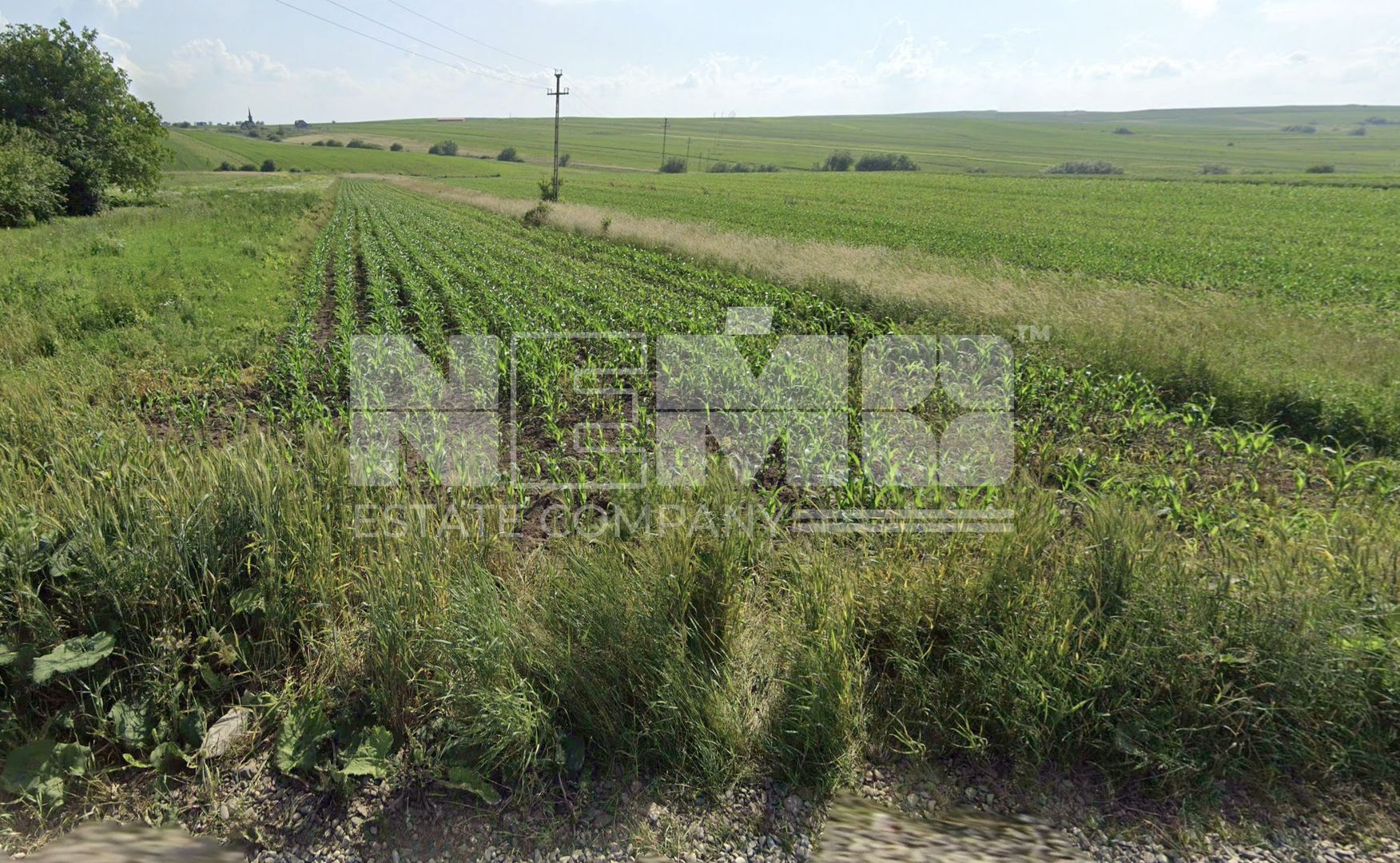 Teren intravilan 1.822 mp | Sfântul Ilie – UAT Șcheia | 145.000 € - Poză 3