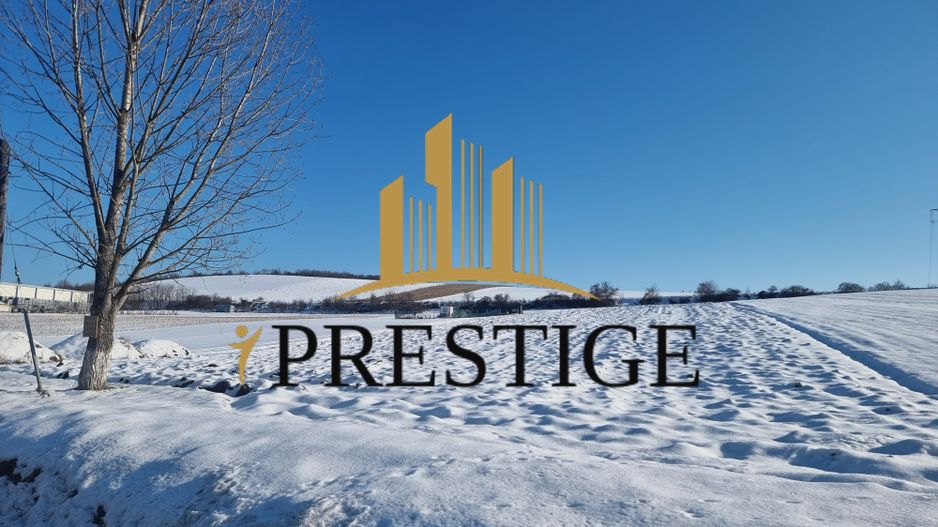 FĂRĂ COMISION | TEREN 6695 MP ÎN ȘURA MARE - Poză 9