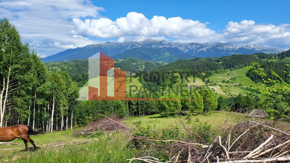 Teren Drumul Carului, Moieciu Suprafață: 29.595 mp | Intravilan - Poză 4