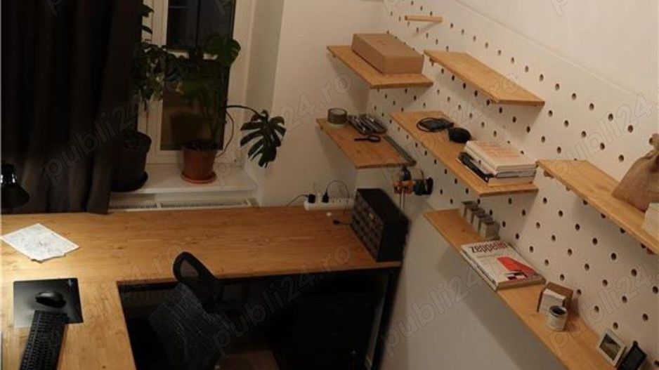 Apart deosebit pe malul Begai - Poză 6