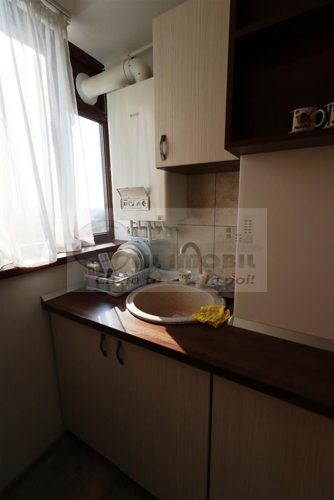 Apartament 2 camere Parcul Copou - Universitatea Al. I Cuza--520 EURO - Poză 11