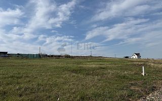 Teren intravilan 700 mp de vanzare in Paleu - Poză 7