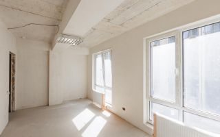 Vânzare, apartament, 1 cameră, strada Calea Ieşilor, Sculeni - Poză 2