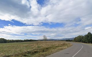 Teren intravilan 4,2 ha de vânzare| ideal investiție| POT 40%| Teișani - Poză 7