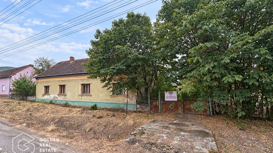 Oportunitate de investitie, teren cu constructie, 3105 mp, localitate Galsa - Poză 2