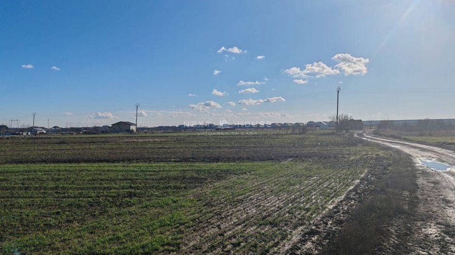 Teren Joita -  Bacu - Dragomiresti - Poză 1