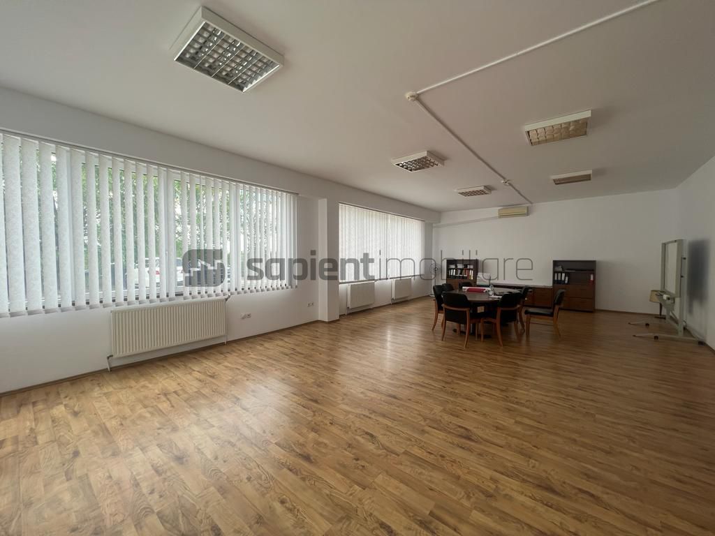 Sapient | Spațiu industrial _ zona Calea Borșului - Poză 10