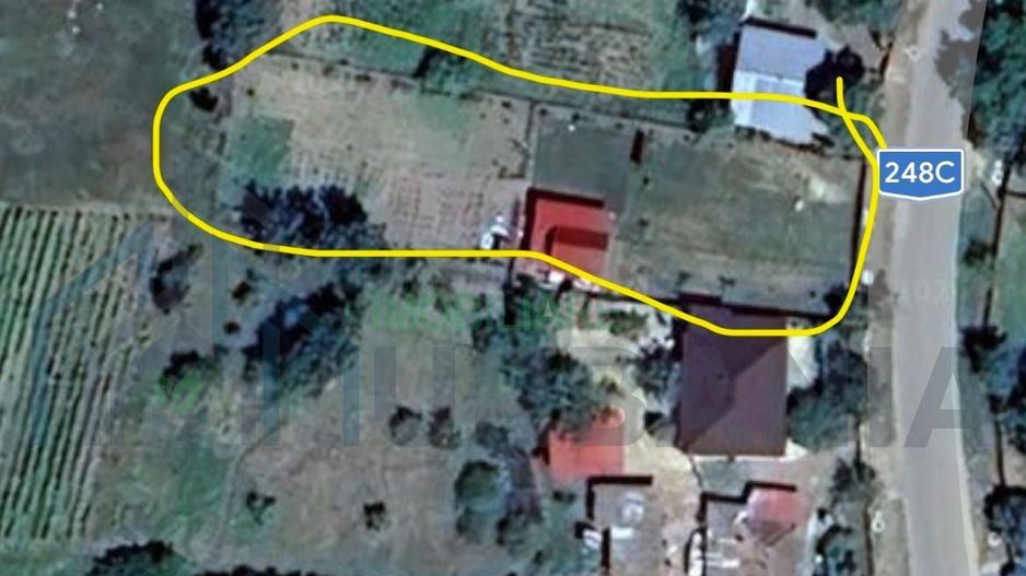 Teren 1000 mp de vânzare în Ciurea, lângă primărie, preț negociabil - Poză 2