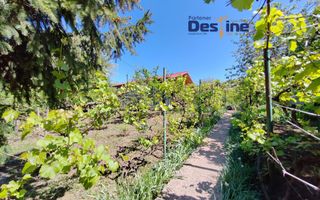 Casă individuală P+M, 164 mp utili + 1062 mp teren, COPOU - Poză 5