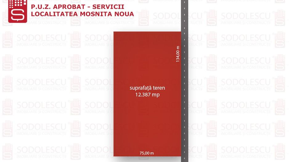 Teren pentru servicii - Mosnita Noua - Poză 1