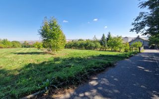 Teren intravilan central Falticeni - Poză 5