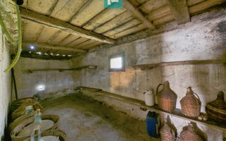 Proprietate rară cu 24.270 mp, în Măgulicea, Arad! - Poză 15