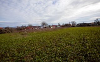 Casa si teren 3365mp Sascut - Poză 29