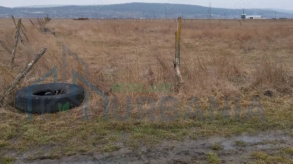 Teren intravilan Tutora Iași - Poză 2