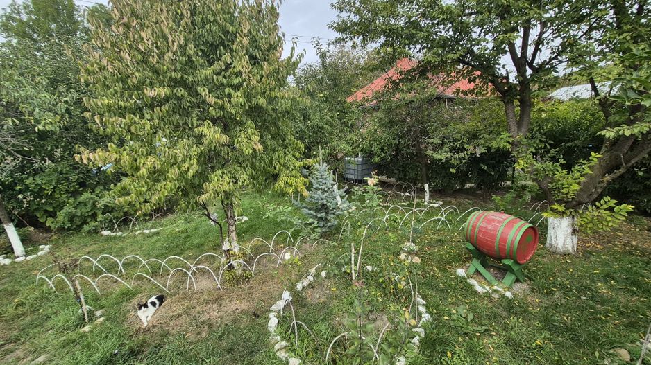 Vila 4 camere + teren 818 mp central Provita de Sus (lângă școală) - Poză 51