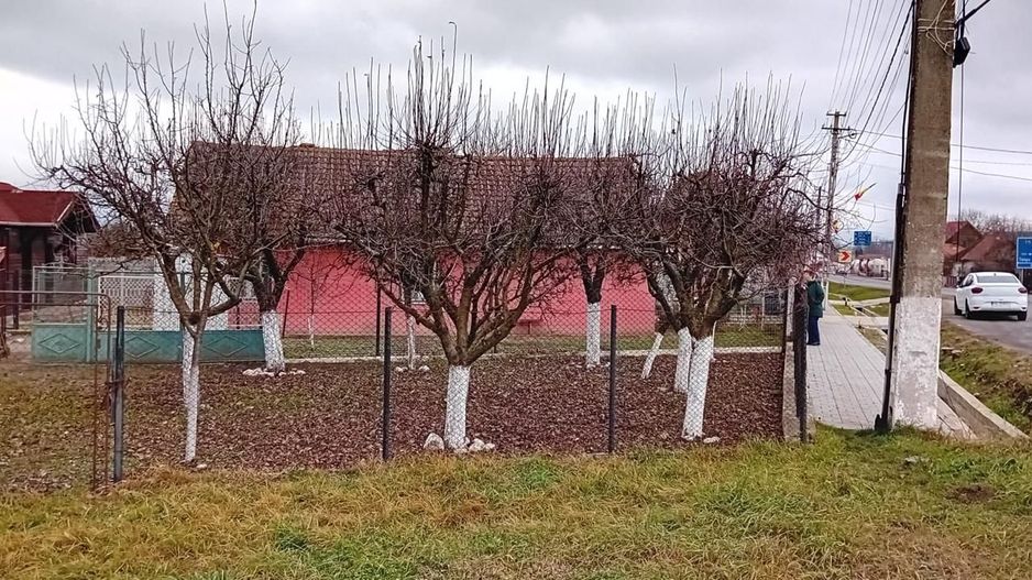 OFERTĂ in Băcia, Hunedoara ! Proprietate 2 case + Cabană + Livadă - Poză 25